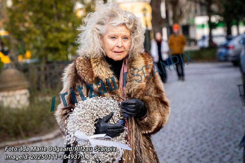 ‘Det kan ikke være mit barn’: Axel Strøbye i bitter kamp og hårde beskyldninger mod Lone Hertz