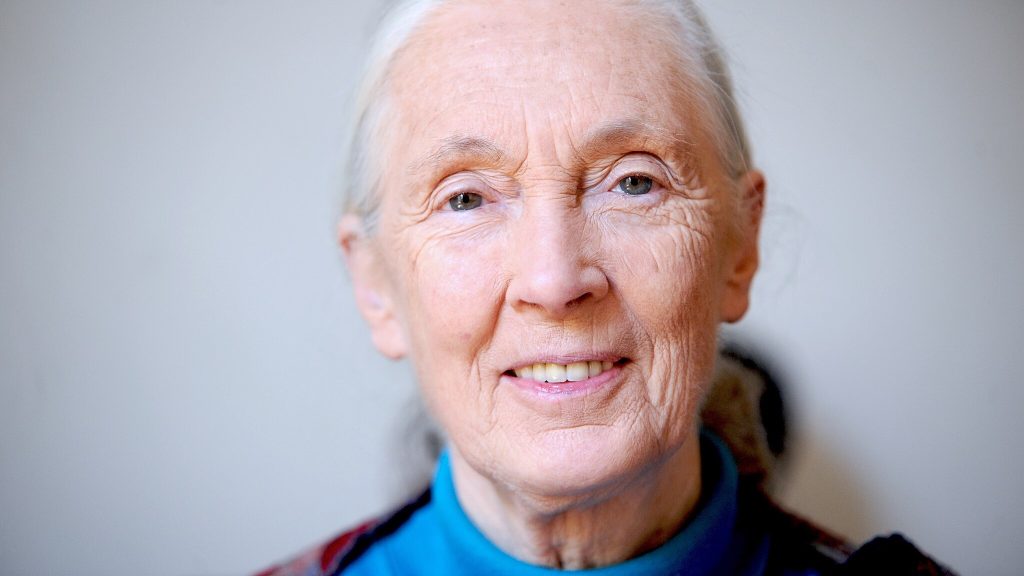 Leonardo DiCaprio afslører sine sidste ord til Jane Goodall