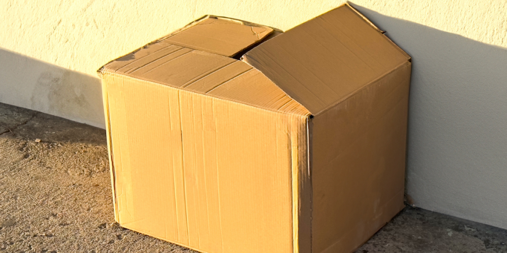 Makabert fund: 57-årig kvinde lå skjult i papkasse i Arizonas ødemark