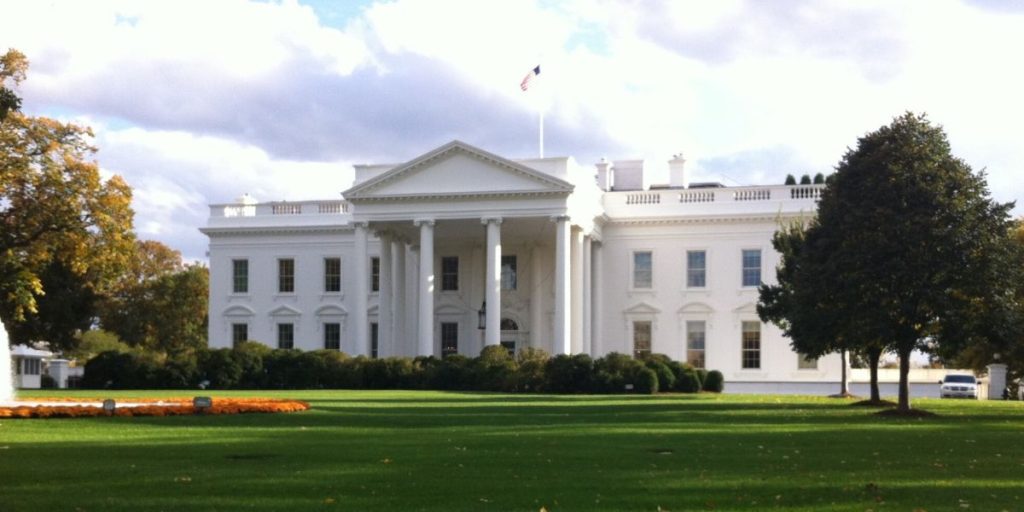 Elon Musk ude i kulden: Udeladt fra Trumps store tech-middag