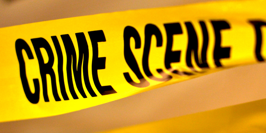 Skeletfund i skov på Als: Vækker mistanke