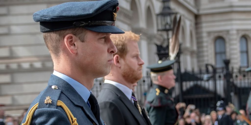 Luften er stadig iskold mellem William og Harry: Men denne ting er de enige om