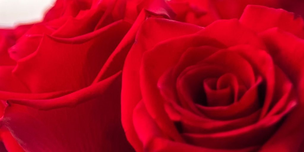 Lissa glad igen: Ny mand efter bruddet med Andreas