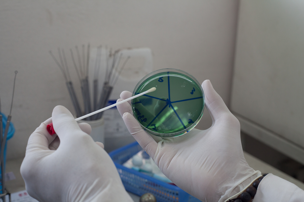 Bioanalytiker løn