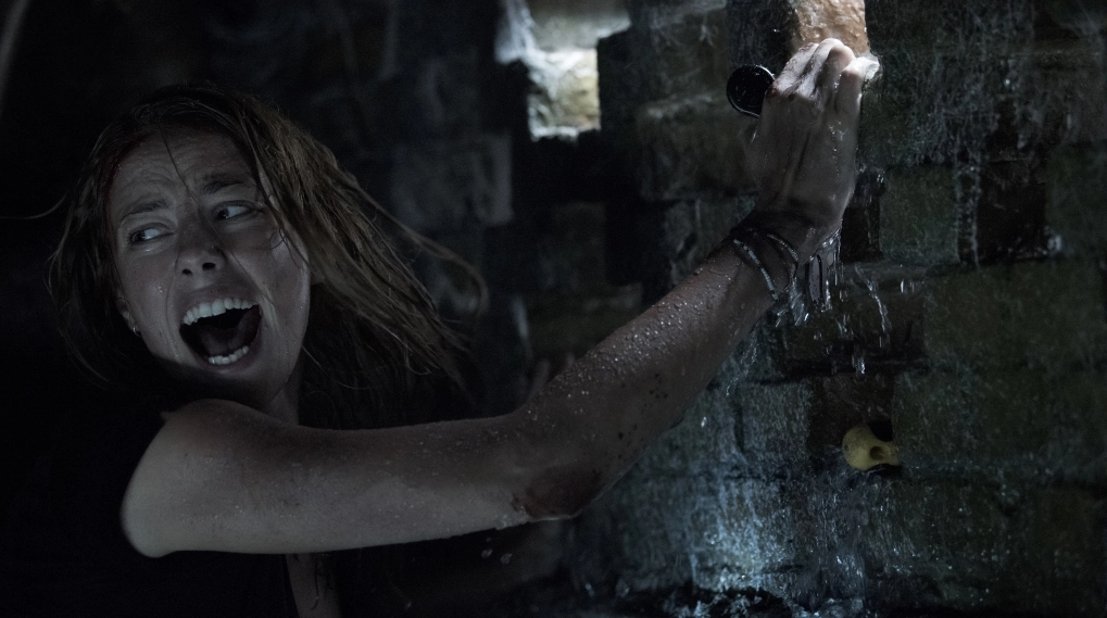 Crawl anmeldelse / Filmz.dk