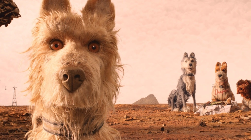 Isle of Dogs anmeldelse / Filmz.dk