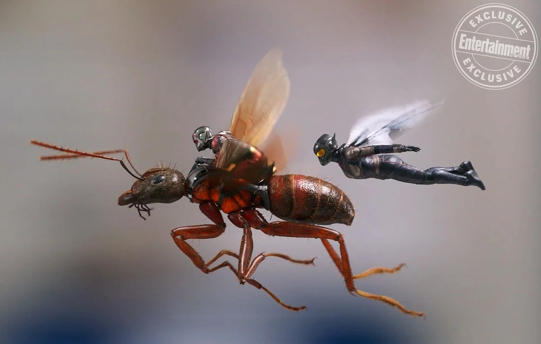 Ant-Man and the Wasp billeder / Filmz.dk